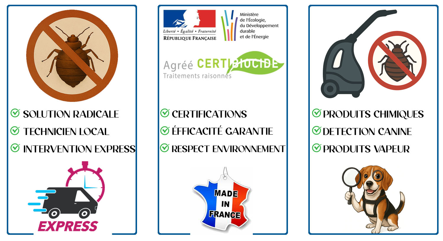 Punaises de Lit Rueil Malmaison
